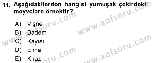 Temel Mutfak Teknikleri Dersi 2020 - 2021 Yılı Yaz Okulu Sınav Soruları 11. Soru