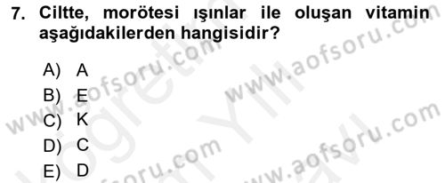 Beslenmenin Temel İlkeleri Dersi 2018 - 2019 Yılı (Vize) Ara Sınav Soruları 7. Soru