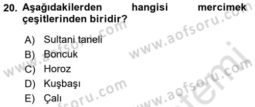 Temel Mutfak Teknikleri Dersi 2022 - 2023 Yılı (Final) Dönem Sonu Sınav Soruları 20. Soru