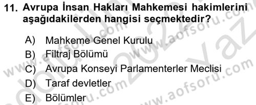 İnsan Hakları Ve Kamu Özgürlükleri Dersi 2022 - 2023 Yılı Yaz Okulu Sınav Soruları 11. Soru