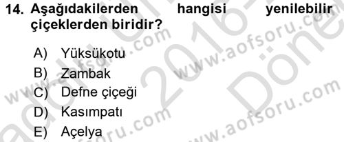 Menü Yönetimi Dersi 2016 - 2017 Yılı (Final) Dönem Sonu Sınav Soruları 14. Soru
