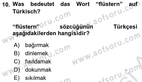 Almanca 2 Dersi 2022 - 2023 Yılı Yaz Okulu Sınav Soruları 10. Soru