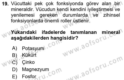 Beslenmenin Temel İlkeleri Dersi 2024 - 2025 Yılı (Vize) Ara Sınav Soruları 19. Soru
