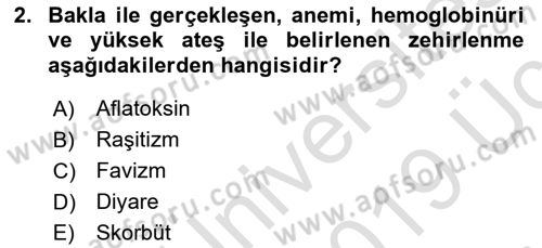 Beslenmenin Temel İlkeleri Dersi 2018 - 2019 Yılı 3 Ders Sınav Soruları 2. Soru