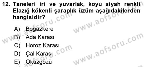 İçecek Bilgisi Dersi 2022 - 2023 Yılı (Final) Dönem Sonu Sınav Soruları 12. Soru