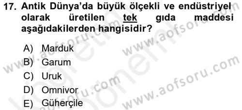 Gastronomi Tarihi Dersi 2015 - 2016 Yılı (Vize) Ara Sınav Soruları 17. Soru