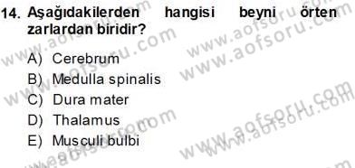 İnsan Anatomisi Ve Fizyolojisi Dersi 2013 - 2014 Yılı (Vize) Ara Sınav Soruları 14. Soru