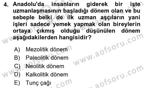 Gastronomi Tarihi Dersi 2024 - 2025 Yılı (Final) Dönem Sonu Sınav Soruları 4. Soru