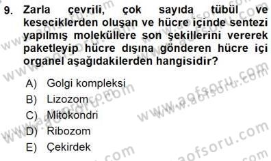 İnsan Anatomisi Ve Fizyolojisi Dersi 2015 - 2016 Yılı (Vize) Ara Sınav Soruları 9. Soru