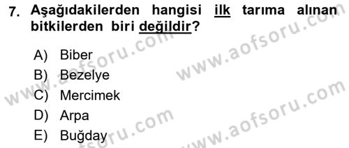 Gastronomi Tarihi Dersi 2023 - 2024 Yılı (Vize) Ara Sınav Soruları 7. Soru