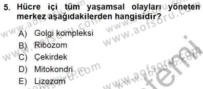 İnsan Anatomisi Ve Fizyolojisi Dersi 2015 - 2016 Yılı (Final) Dönem Sonu Sınav Soruları 5. Soru