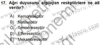 İnsan Anatomisi Ve Fizyolojisi Dersi 2015 - 2016 Yılı (Vize) Ara Sınav Soruları 17. Soru