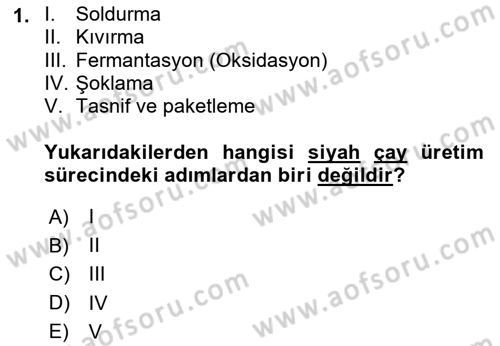 İçecek Bilgisi Dersi 2024 - 2025 Yılı (Vize) Ara Sınav Soruları 1. Soru