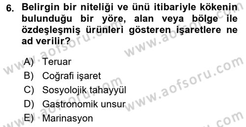 Yemek Sosyolojisi Dersi 2021 - 2022 Yılı Yaz Okulu Sınav Soruları 6. Soru