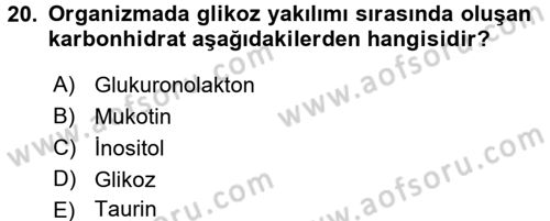 İçecek Bilgisi Dersi 2017 - 2018 Yılı (Vize) Ara Sınav Soruları 20. Soru