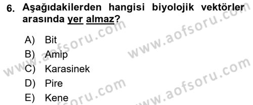 Kbrn Savunma Ve Güvenlik Dersi 2021 - 2022 Yılı Yaz Okulu Sınav Soruları 6. Soru