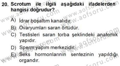 İnsan Anatomisi Ve Fizyolojisi Dersi 2014 - 2015 Yılı (Final) Dönem Sonu Sınav Soruları 20. Soru