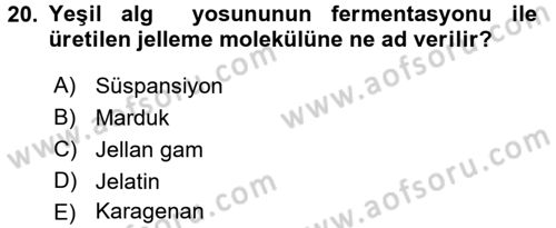 Gastronomi Tarihi Dersi 2016 - 2017 Yılı (Final) Dönem Sonu Sınav Soruları 20. Soru