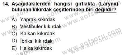 İnsan Anatomisi Ve Fizyolojisi Dersi 2012 - 2013 Yılı (Final) Dönem Sonu Sınav Soruları 14. Soru