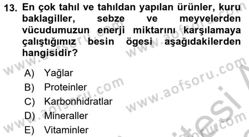 Beslenmenin Temel İlkeleri Dersi 2018 - 2019 Yılı Yaz Okulu Sınav Soruları 13. Soru