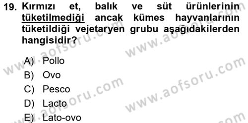 Gastronomi Tarihi Dersi 2017 - 2018 Yılı 3 Ders Sınav Soruları 19. Soru