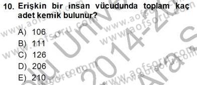 İnsan Anatomisi Ve Fizyolojisi Dersi 2014 - 2015 Yılı (Vize) Ara Sınav Soruları 10. Soru