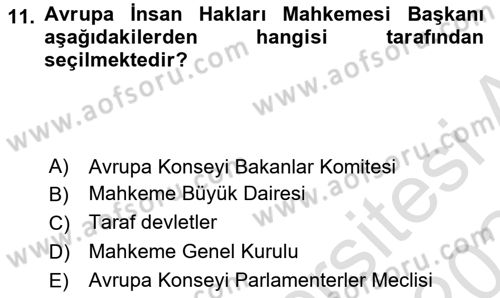 İnsan Hakları Ve Kamu Özgürlükleri Dersi 2023 - 2024 Yılı (Final) Dönem Sonu Sınav Soruları 11. Soru