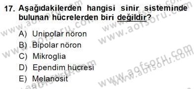 İnsan Anatomisi Ve Fizyolojisi Dersi 2014 - 2015 Yılı (Vize) Ara Sınav Soruları 17. Soru