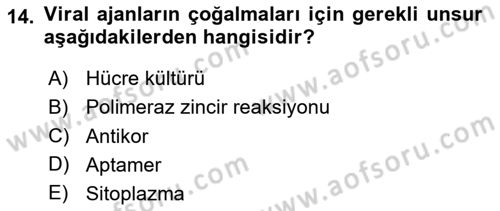 Kbrn Savunma Ve Güvenlik Dersi 2024 - 2025 Yılı (Final) Dönem Sonu Sınav Soruları 14. Soru