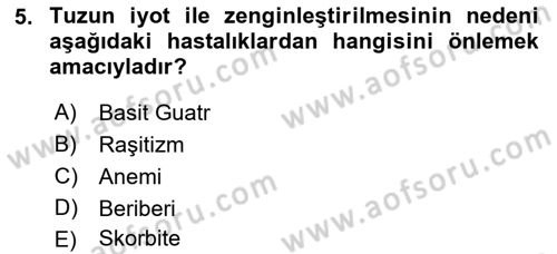 Beslenmenin Temel İlkeleri Dersi 2022 - 2023 Yılı Yaz Okulu Sınav Soruları 5. Soru