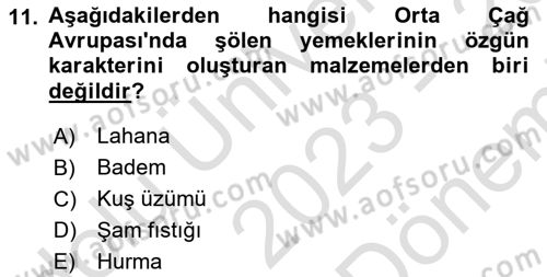 Gastronomi Tarihi Dersi 2023 - 2024 Yılı (Final) Dönem Sonu Sınav Soruları 11. Soru