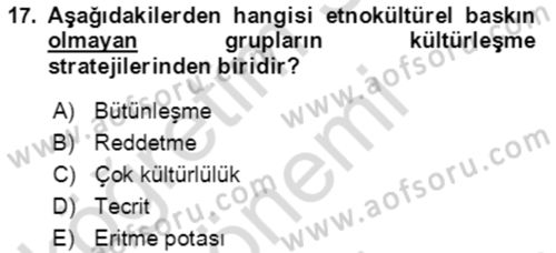 Göç Ve Göçmen Sorunları Dersi 2021 - 2022 Yılı (Final) Dönem Sonu Sınav Soruları 17. Soru