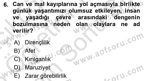 Veri Analizi Ve Değerlendirme Dersi 2024 - 2025 Yılı (Final) Dönem Sonu Sınav Soruları 6. Soru