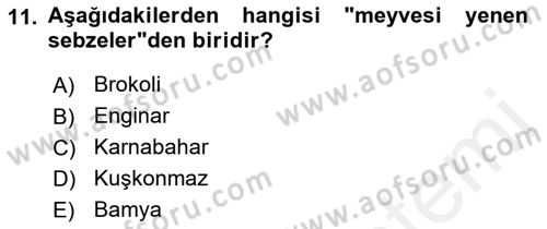 Gıda Coğrafyası Dersi 2018 - 2019 Yılı (Vize) Ara Sınav Soruları 11. Soru