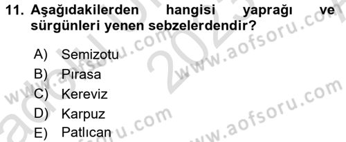 Gıda Coğrafyası Dersi 2023 - 2024 Yılı (Vize) Ara Sınav Soruları 11. Soru