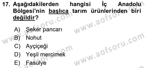 Yöresel Mutfaklar Dersi 2023 - 2024 Yılı (Vize) Ara Sınav Soruları 17. Soru