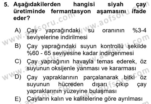 İçecek Bilgisi Dersi 2023 - 2024 Yılı Yaz Okulu Sınav Soruları 5. Soru