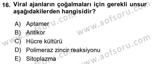 Kbrn Savunma Ve Güvenlik Dersi 2020 - 2021 Yılı Yaz Okulu Sınav Soruları 16. Soru