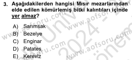 Gastronomi Tarihi Dersi 2024 - 2025 Yılı (Final) Dönem Sonu Sınav Soruları 3. Soru