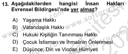 İnsan Hakları Ve Kamu Özgürlükleri Dersi 2021 - 2022 Yılı (Vize) Ara Sınav Soruları 13. Soru
