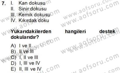 İnsan Anatomisi Ve Fizyolojisi Dersi 2014 - 2015 Yılı (Vize) Ara Sınav Soruları 7. Soru
