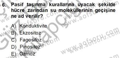 İnsan Anatomisi Ve Fizyolojisi Dersi 2014 - 2015 Yılı (Vize) Ara Sınav Soruları 6. Soru