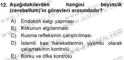 İnsan Anatomisi Ve Fizyolojisi Dersi 2015 - 2016 Yılı (Final) Dönem Sonu Sınav Soruları 12. Soru