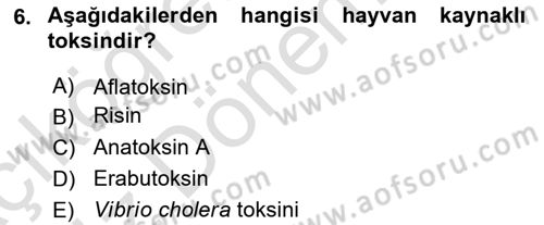 Kbrn Savunma Ve Güvenlik Dersi 2024 - 2025 Yılı (Vize) Ara Sınav Soruları 6. Soru