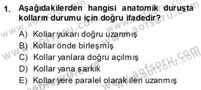 İnsan Anatomisi Ve Fizyolojisi Dersi 2013 - 2014 Yılı (Vize) Ara Sınav Soruları 1. Soru
