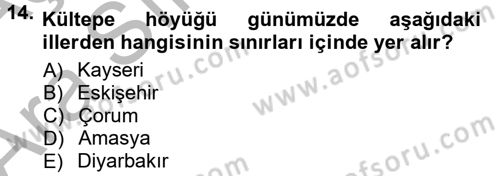 Anadolu Arkeolojisi Dersi 2012 - 2013 Yılı (Vize) Ara Sınav Soruları 14. Soru