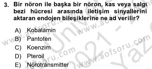 Beslenmenin Temel İlkeleri Dersi 2021 - 2022 Yılı Yaz Okulu Sınav Soruları 3. Soru
