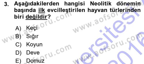 Anadolu Arkeolojisi Dersi 2015 - 2016 Yılı (Vize) Ara Sınav Soruları 3. Soru