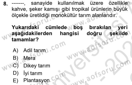 Yemek Sosyolojisi Dersi 2021 - 2022 Yılı Yaz Okulu Sınav Soruları 8. Soru