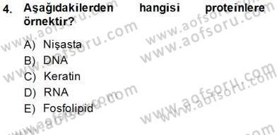 İnsan Anatomisi Ve Fizyolojisi Dersi 2014 - 2015 Yılı (Vize) Ara Sınav Soruları 4. Soru